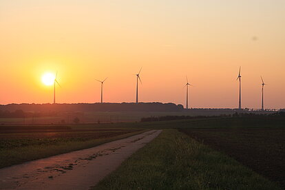 Windpark in weiter Feldlandschaft bei Sonnenuntergang, mit mehreren Windrädern auf der Horizontlinie und einem Weg im Vordergrund, der in die warme orange-rosa Abenddämmerung führt.