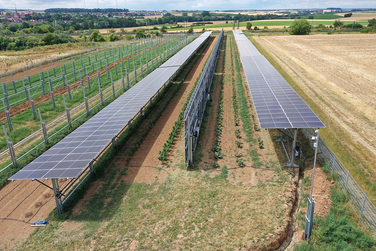 Erhöhte Solarpaneele über frisch bepflanzten Ackerflächen in Uffenheim – Bauphase der Agri-Photovoltaik-Anlage mit sichtbarer Strukturmontage und landwirtschaftlicher Nutzung.